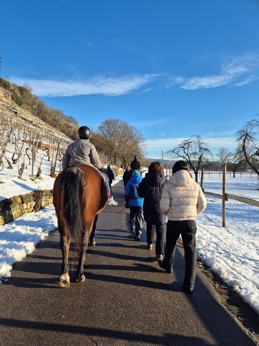 Heilpädagogisches Reiten