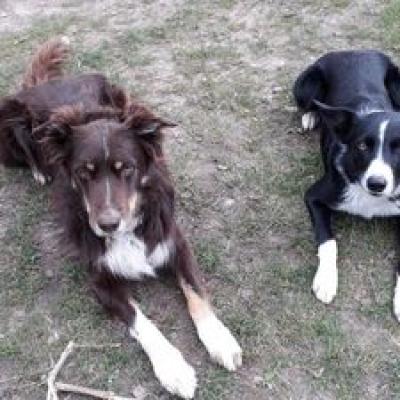 Reiterhof Joe Und Pan